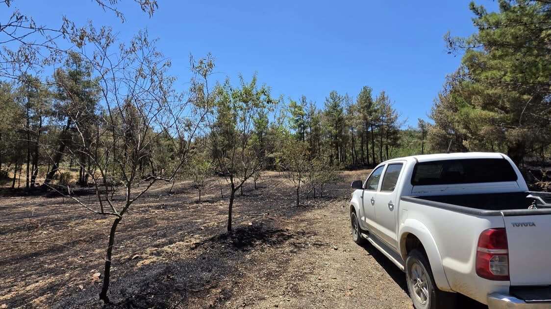 Muğla’da Yangından Etkilenen Üreticiler İçin Hasar Tespit Çalışmaları Sürüyor 2